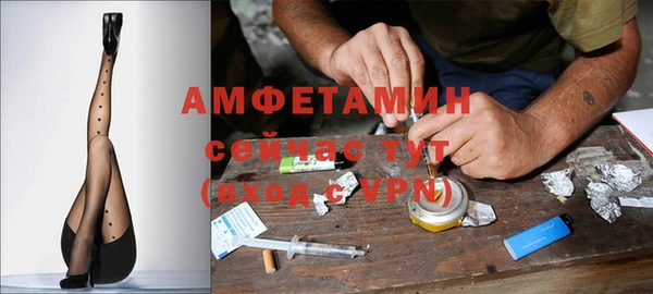 ПСИЛОЦИБИНОВЫЕ ГРИБЫ Верхний Тагил